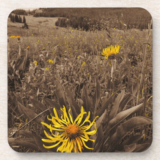 Sepia tone Yellow wildbloemen Onderzetter (Voorkant)