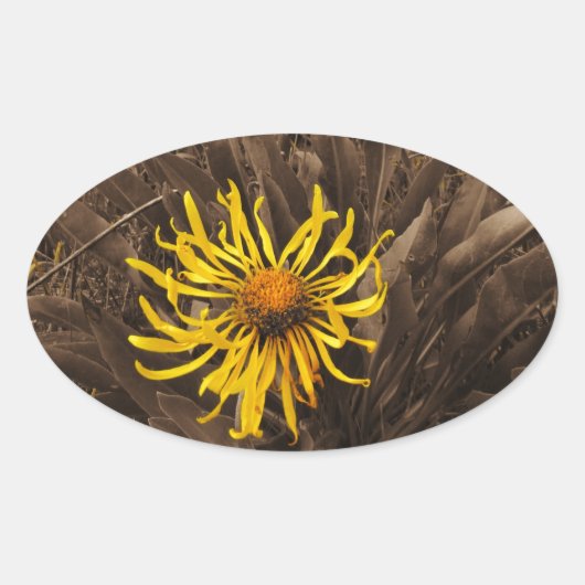 Sepia tone Yellow wildbloemen Ovale Sticker (Voorkant)