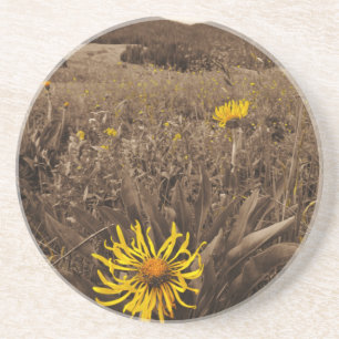 Sepia tone Yellow wildbloemen Zandsteen Onderzetter