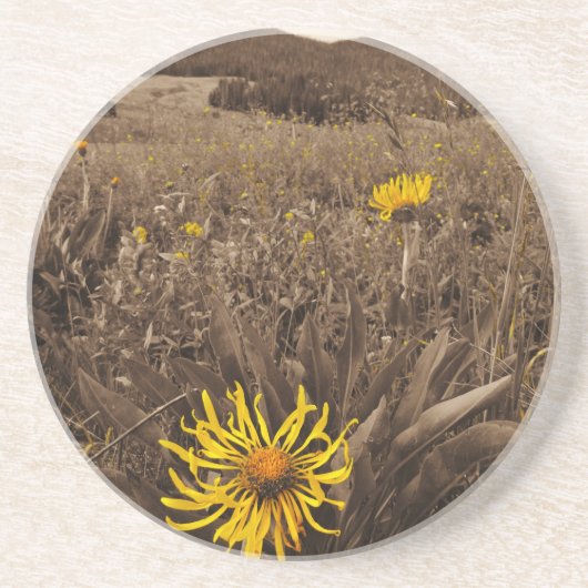 Sepia tone Yellow wildbloemen Zandsteen Onderzetter (Voorkant)