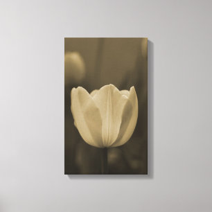 Sepia toon bloesem canvas afdruk