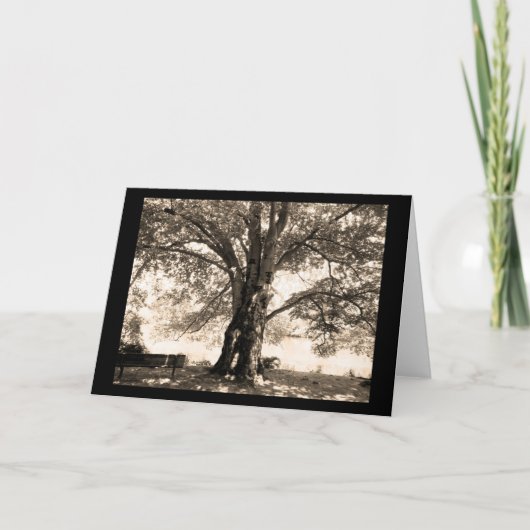 Sepia Tree-Wenskaart Kaart (Voorkant)