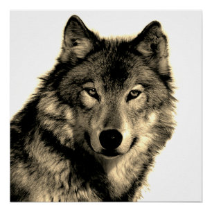 Sepia Unieke Motivatie Wolf Creative Square Perfect Poster