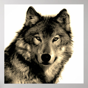Sepia Unieke Motivatie Wolf Creative Square Poster