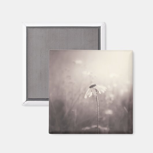 Sepia Veld van Wildbloemen in de zonsondergang Magneet (Voorkant / Achterkant)