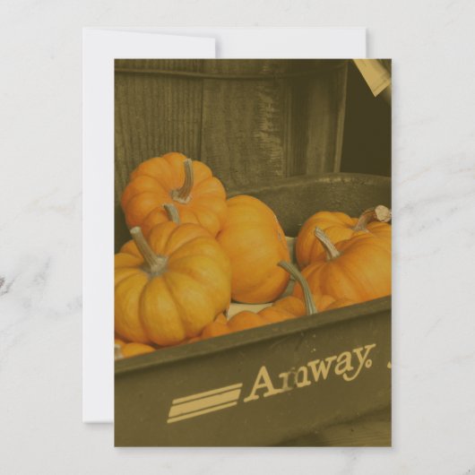 Sepia Wagen Oranje Pompoenen Herfstfeest Kaart (Achterkant)