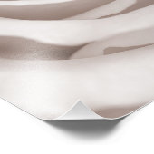  Sepia White & Cream Roos Achtergrond Aangepast Foto Afdruk (Hoek)