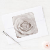 Sepia White & Cream Roos Achtergrond Aangepast Vierkante Sticker (Envelop)