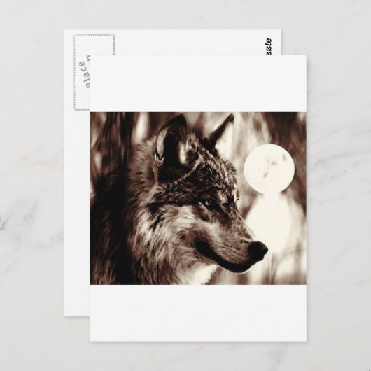 Sepia Wolf en Moon Briefkaart (Voorkant / Achterkant)