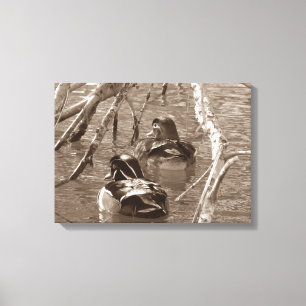 Sepia Wood Duck Pair Canvas Afdruk