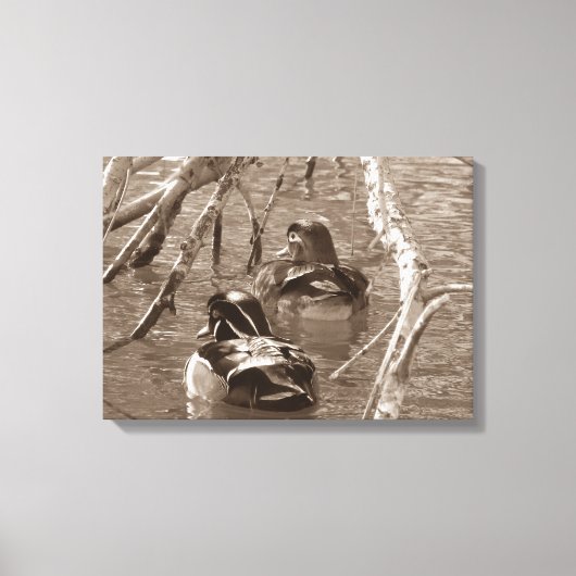 Sepia Wood Duck Pair Canvas Afdruk (Voorkant)