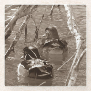 Sepia Wood Duck Pair Glazen Onderzetter