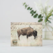 Sepia Yellowstone Bizon met Vogel Briefkaart (Staand voorkant)
