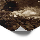 Sepia Yosemite Valley Poster (Hoek)