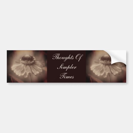 Sepia Zinnia Bloem Simpelere Tijden Bumpersticker (Voorkant)