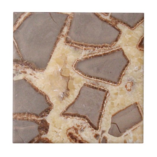 Septarian Nodule Cross section Interessant Rocks Tegeltje (Voorkant)