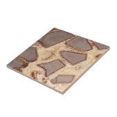 Septarian Nodule Cross section Interessant Rocks Tegeltje (Zijkant)