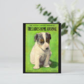 September 1906 Damesdagblad cover puppy Briefkaart (Staand voorkant)