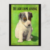 September 1906 Damesdagblad cover puppy Briefkaart (Voorkant)