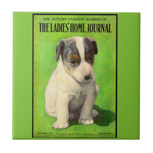 September 1906 Damesdagblad cover puppy Tegeltje (Voorkant)