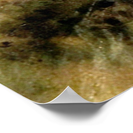 September Afternoon Poster (Hoek)