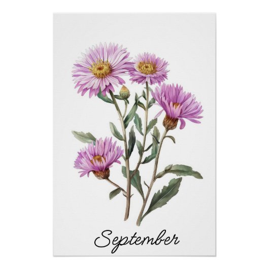 September Aster Geboorte Bloem Botanisch Perfect Poster (Voorkant)