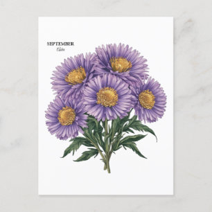 September Aster Geboorte Maand Custom Bloemen Kuns Briefkaart