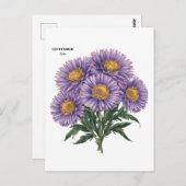 September Aster Geboorte Maand Custom Bloemen Kuns Briefkaart (Voorkant / Achterkant)