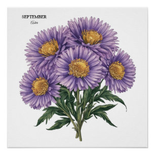 September Aster Geboorte Maand Custom Bloemen Kuns Perfect Poster