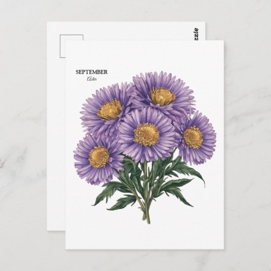 September Aster Geboortemaand Aangepaste Bloemkuns Briefkaart (Voorkant / Achterkant)