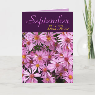September Birth Flower - Aster Note Card Kaart
