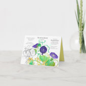 September Birthday Morning Glory Aster Birth Maand Kaart (Voorkant)