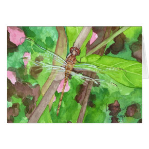 September Dragonfly