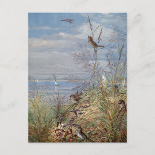 september   Fidelia Bridges Briefkaart