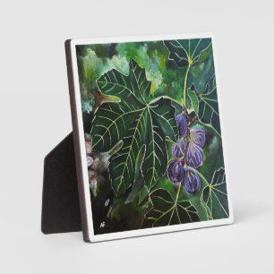 September Figs en zomerlicht door Alfred Fox Fotoplaat