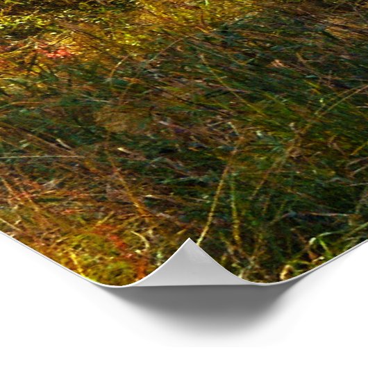 September Forest Poster (Hoek)