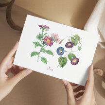 September Geboorte Maand Bloem Platte Nota Kaart