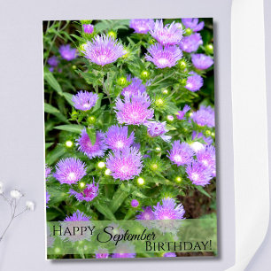 September Geboortebloem Paarse Stoker Asters Kaart