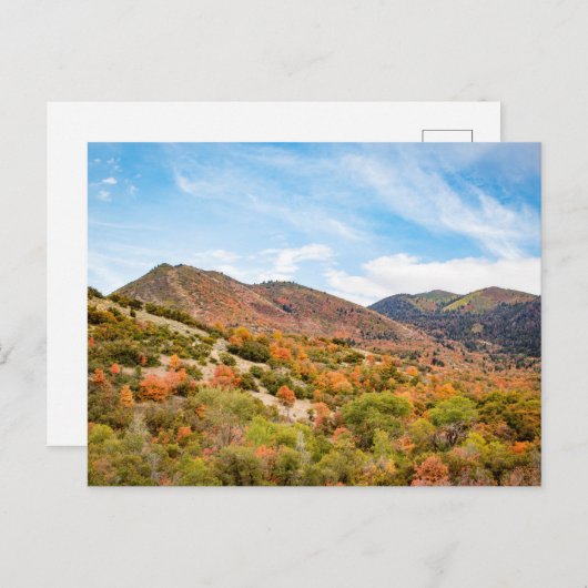 September in Payson Canyon Briefkaart (Voorkant / Achterkant)