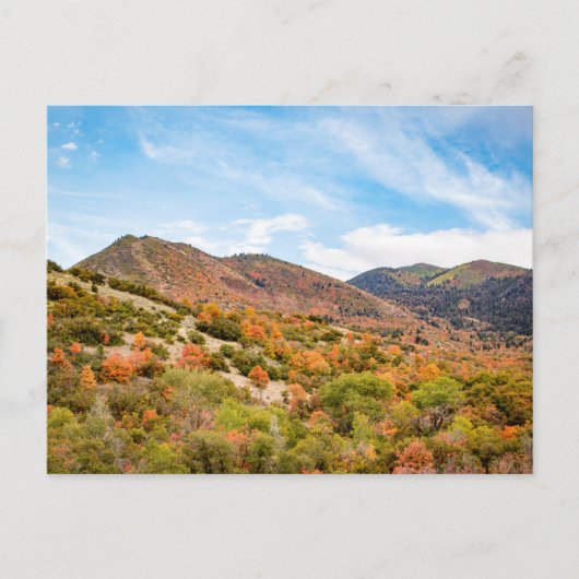 September in Payson Canyon Briefkaart (Voorkant)