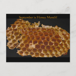 september is Honey Month! Briefkaart