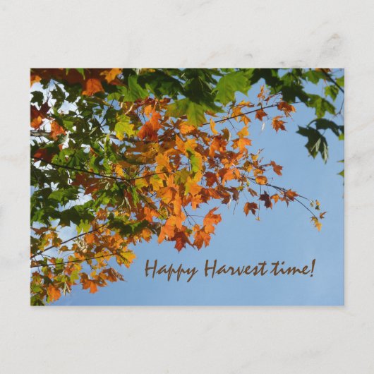 September kleuren briefkaart (Voorkant)