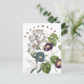 September Maand Bloemen Aster & Morgen Winde | Briefkaart (Staand voorkant)