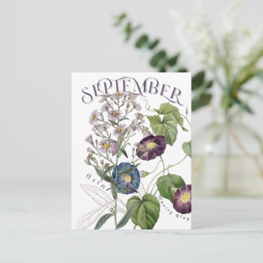 September maand Bloemen Aster Morning Glory Fancy Briefkaart (Staand voorkant)