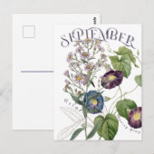 September maand Bloemen Aster Morning Glory Fancy Briefkaart (Voorkant / Achterkant)