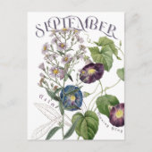 September maand Bloemen Aster Morning Glory Fancy Briefkaart (Voorkant)