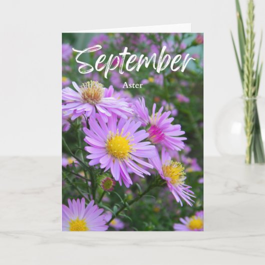 September Paarse Aster Geboortemaand Verjaardag Kaart (Voorkant)