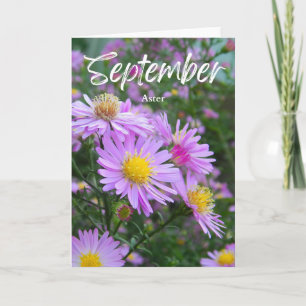 September Paarse Aster Geboortemaand Verjaardag Kaart