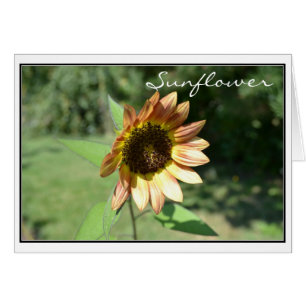 September Sunflower Card