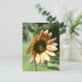 September Sunflower Post Card Briefkaart (Staand voorkant)
